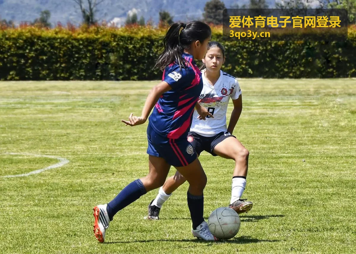 爱体育电子官网登录平板与大屏投屏布局排查场景