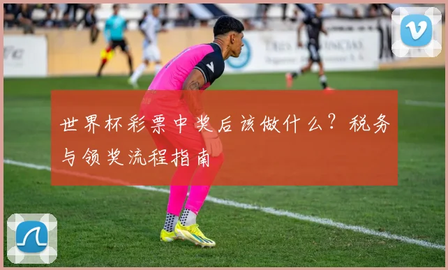 世界杯彩票中奖后该做什么？税务与领奖流程指南