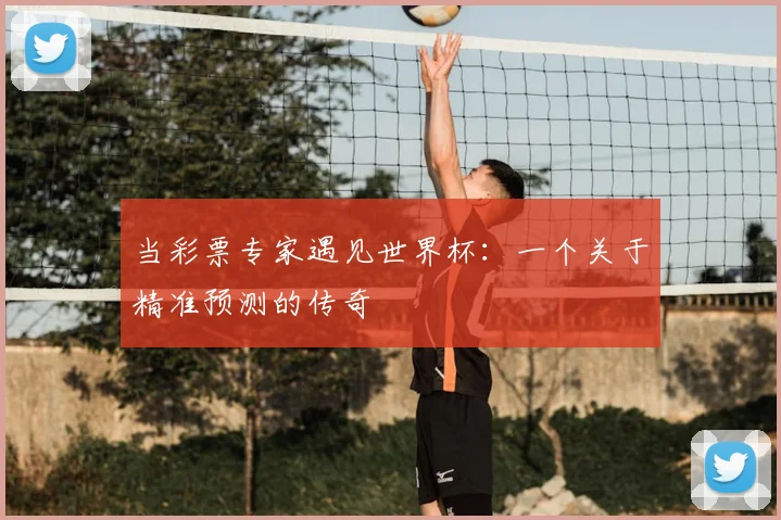 当彩票专家遇见世界杯：一个关于精准预测的传奇