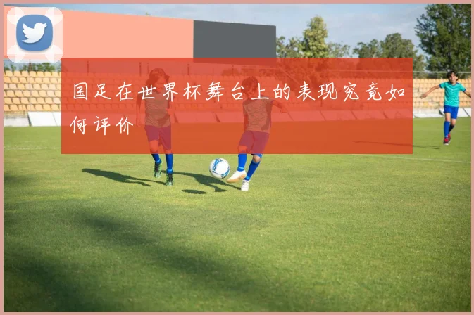 国足在世界杯舞台上的表现究竟如何评价