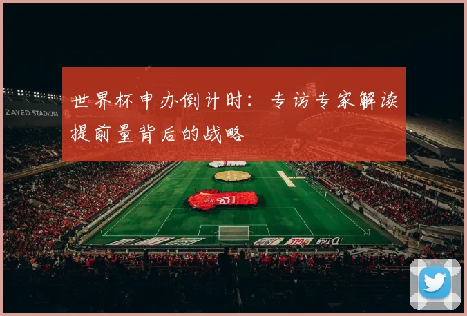 世界杯申办倒计时：专访专家解读提前量背后的战略