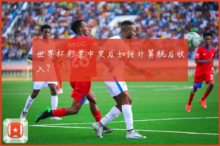 世界杯彩票中奖后如何计算税后收入?
