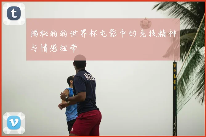 揭秘狗狗世界杯电影中的竞技精神与情感纽带