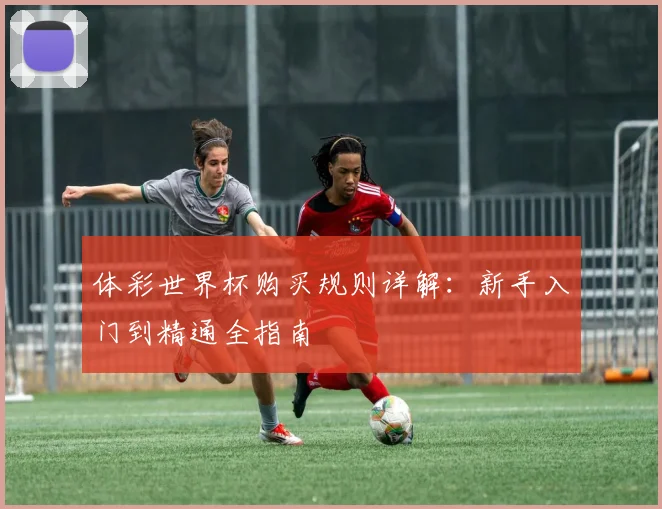 体彩世界杯购买规则详解：新手入门到精通全指南