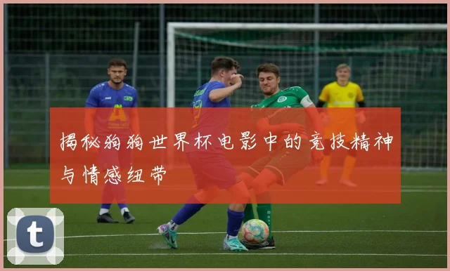 揭秘狗狗世界杯电影中的竞技精神与情感纽带