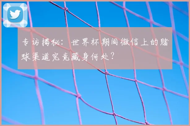专访揭秘：世界杯期间微信上的赌球渠道究竟藏身何处？