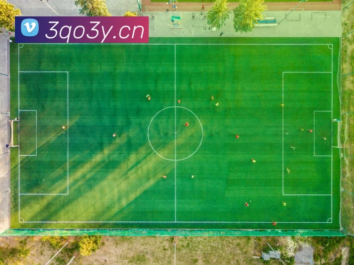 乐鱼体育app官网登录入口APP 体育赛事宣传图